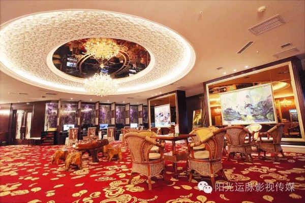 长沙茶友必备神器，最新茶叶资讯平台助你品茗无忧